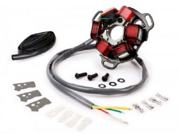 BGM - AC - Stator Plate