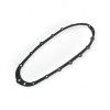 CP Chaincase Gasket